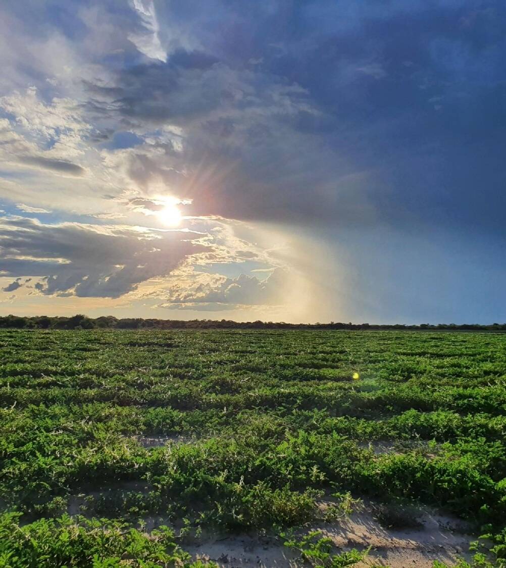 #21 - Fazenda para Venda em Morpará - BA