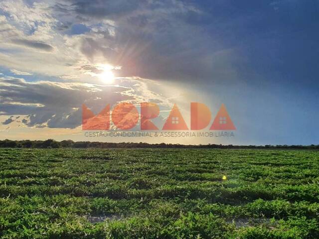 #21 - Fazenda para Venda em Morpará - BA
